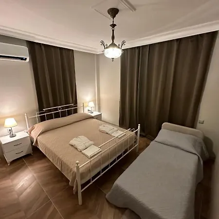 House シダ