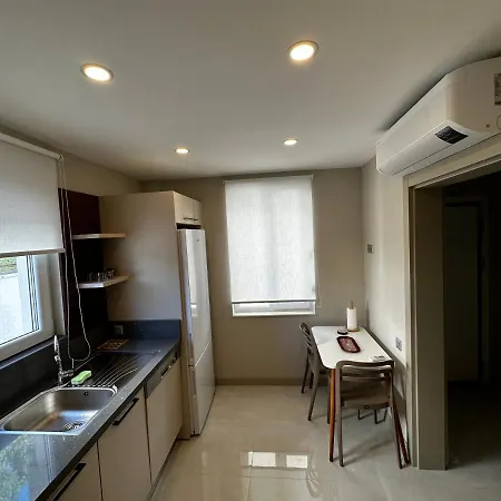 House シダ